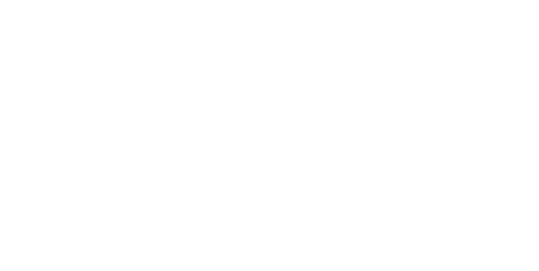 C.L.LINK